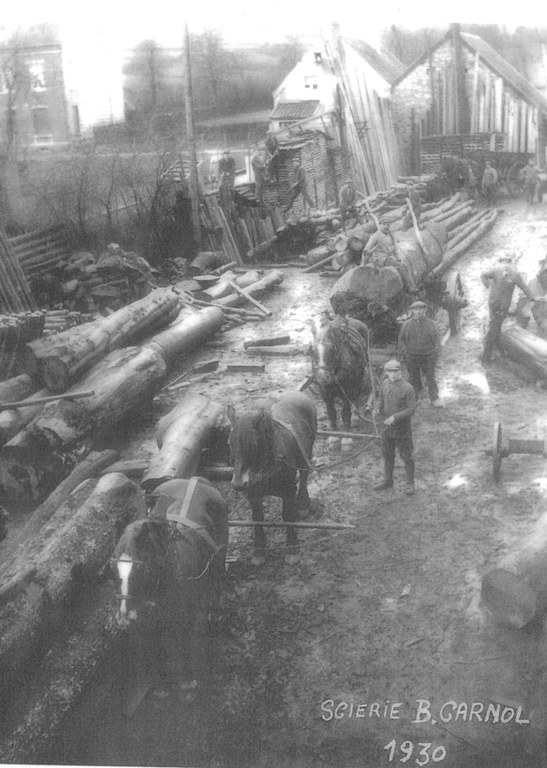 Scierie Carnol - à déterminer
