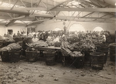 Salle de triage - A déterminer
