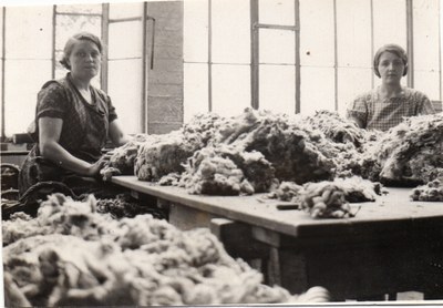 Tirage de la laine