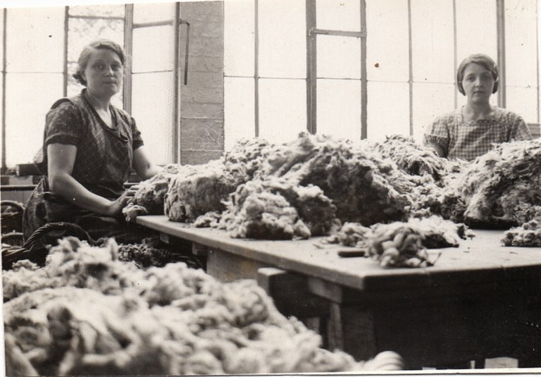 Tirage de la laine