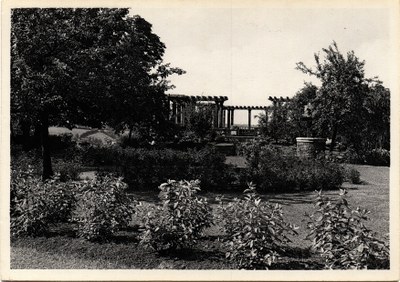 La pergola du Château de Limbourg
