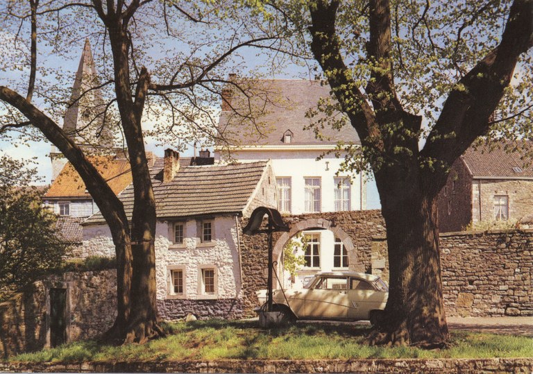Les arbres Bragard