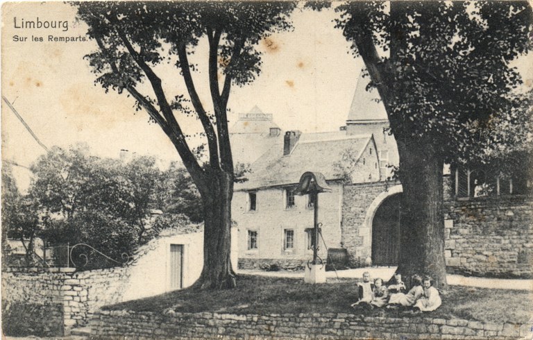 Les arbres Bragard