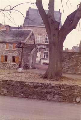 Les arbres Bragard
