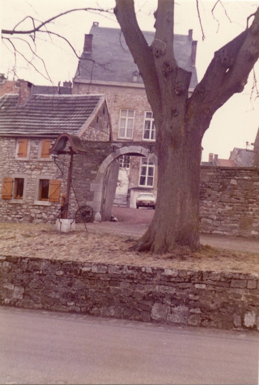 Les arbres Bragard