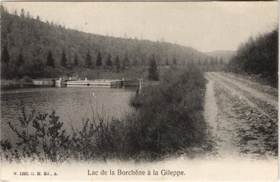 Carte postale