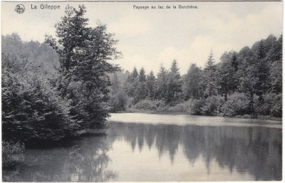 Paysage au lac de la Borchêne