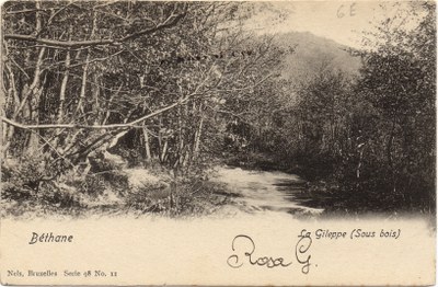 Vue des sous-bois de la Gileppe