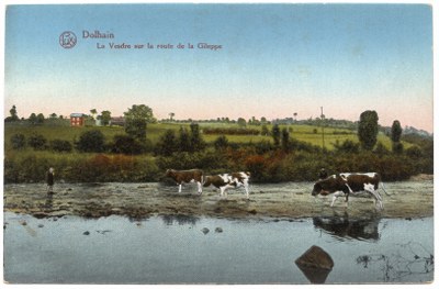 La Vesdre sur la route de la Gileppe
