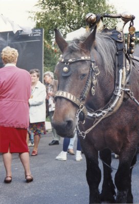Un beau cheval tractant un des chars