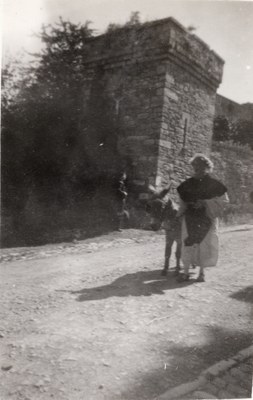 Âne