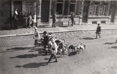 Les chiens