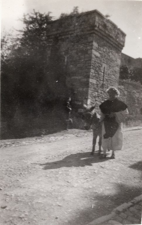 Âne